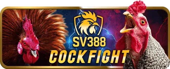 Cấp phép và quy định big777 web